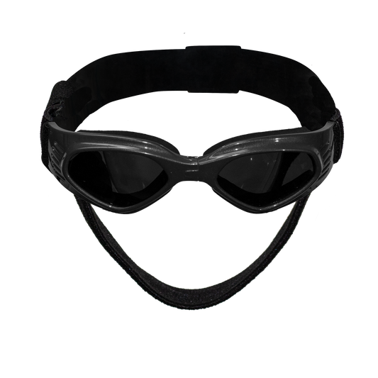 Sport Sun Glasses - Black (Small)