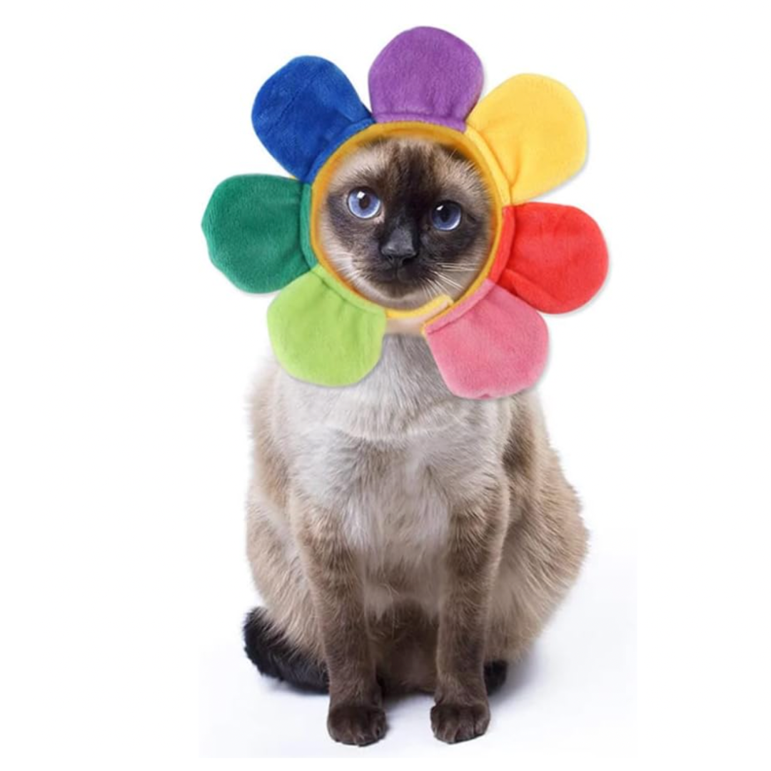 Sun Flower Hat for Cats and Dogs