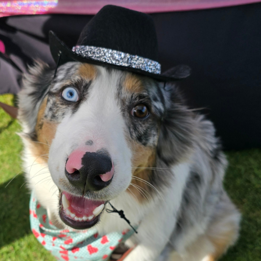 Sparkle Cowboy Hats