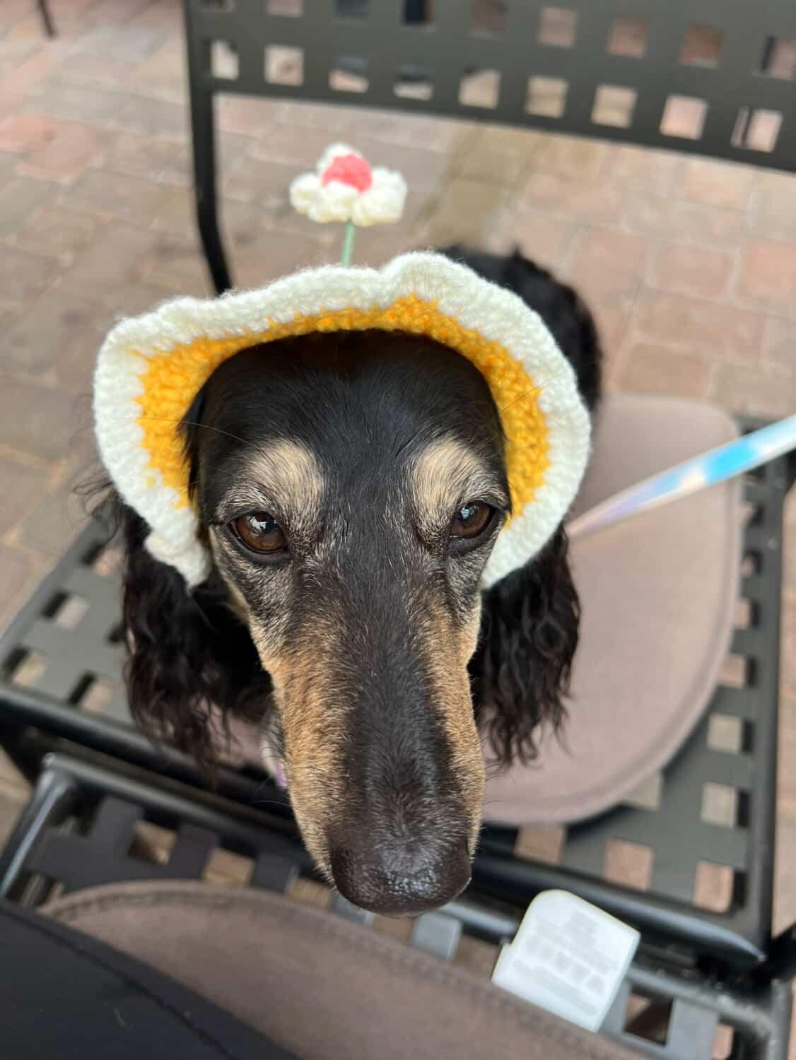 Flower Crotche Hat