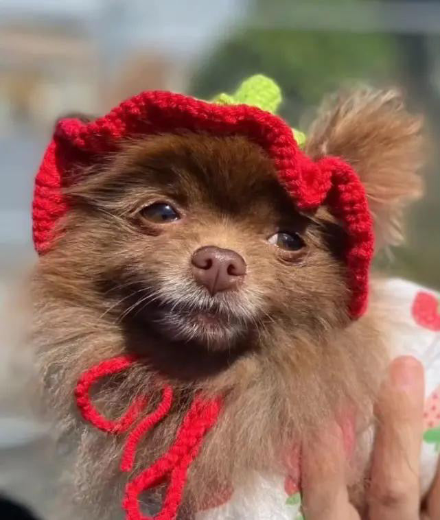 Crochet Hat - Strawberry