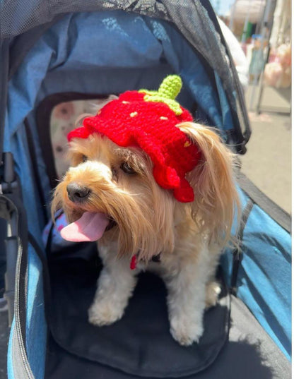 Crochet Hat - Strawberry