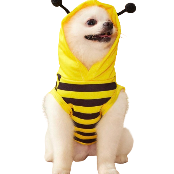 Hooded Bee Vest