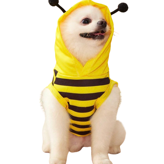 Hooded Bee Vest