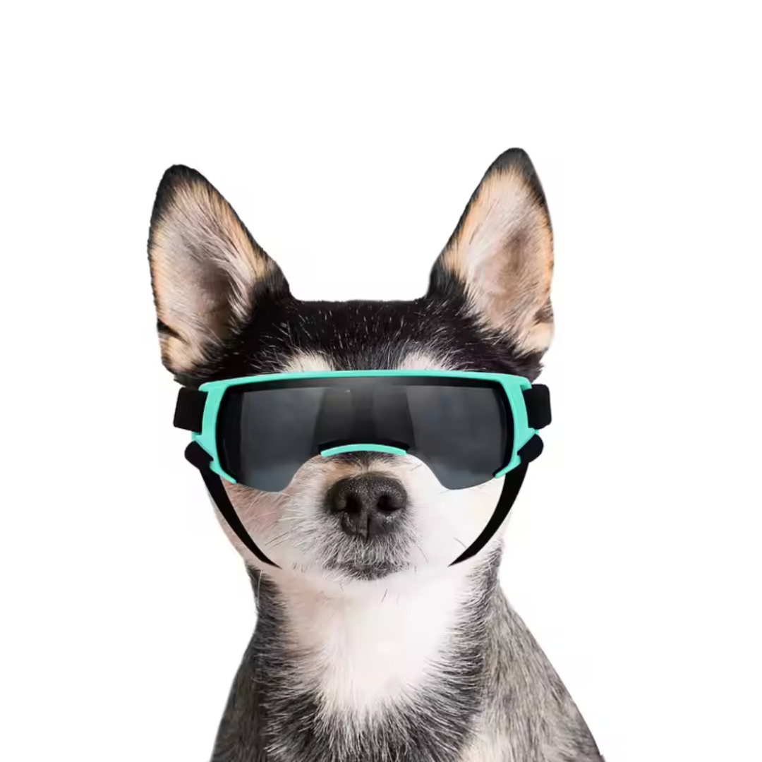 Pet Sunglasses with Adjustable Strap UV protection, Windproof/Anti-dust goggles