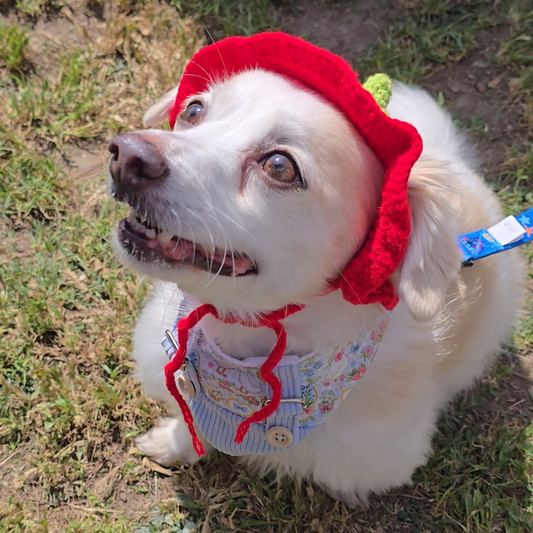Strawberry Pearl Crotchet Hat
