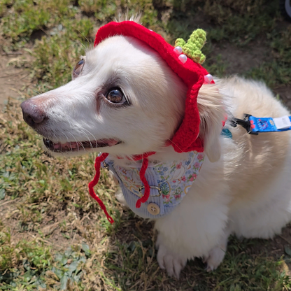 Strawberry Pearl Crotchet Hat