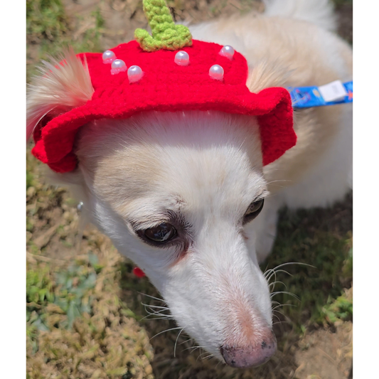 Strawberry Pearl Crotchet Hat